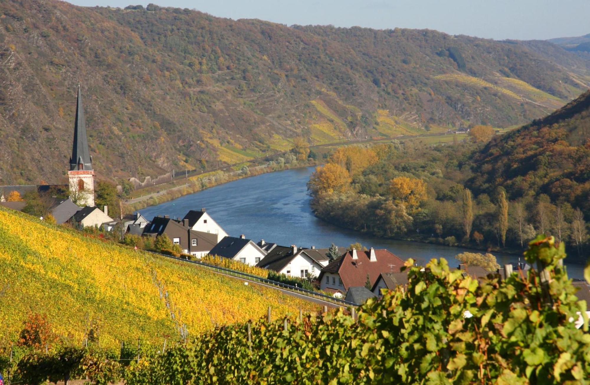 Weinhotel Hubertus Garni Klotten Exteriér fotografie