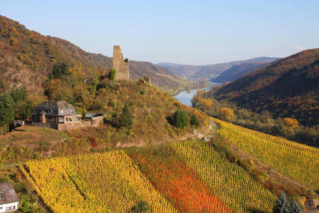 Weinhotel Hubertus Garni Klotten Exteriér fotografie