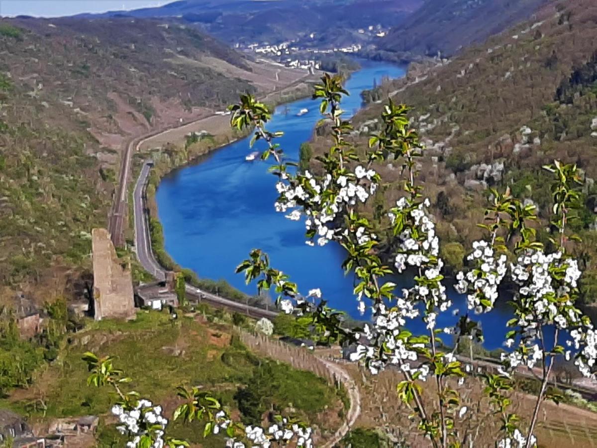 Weinhotel Hubertus Garni Klotten Exteriér fotografie